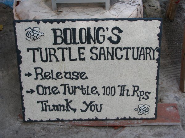 Turtle sanctuary