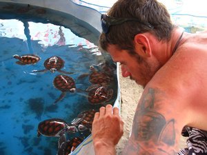 Dale and the baby turtles