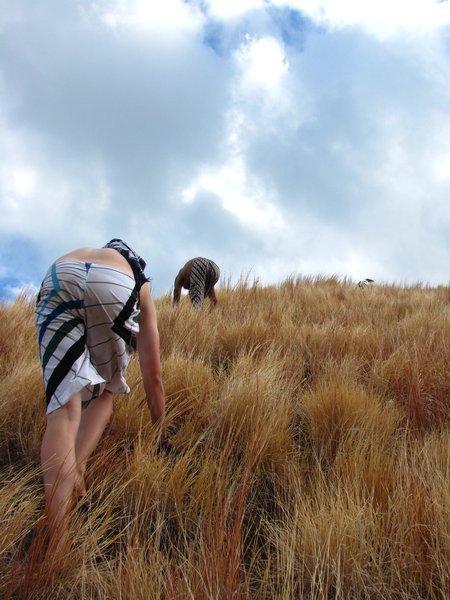 Climbing up the hill on the island