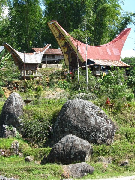 Tana Toraja Landscape