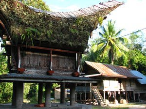 Old houses in Tana Toraja