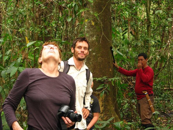 Dale spotting Orangutans