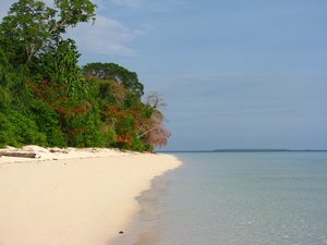 Sangalaki beach
