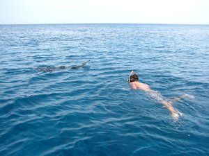 Dale snorkelling with mantas