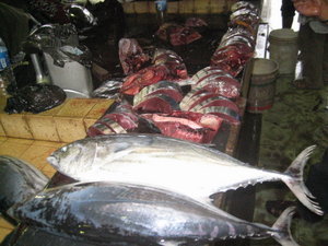 Tuna in the fish market at Semporna