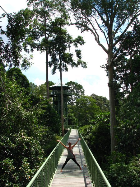 Sophie on the canopy walkway 