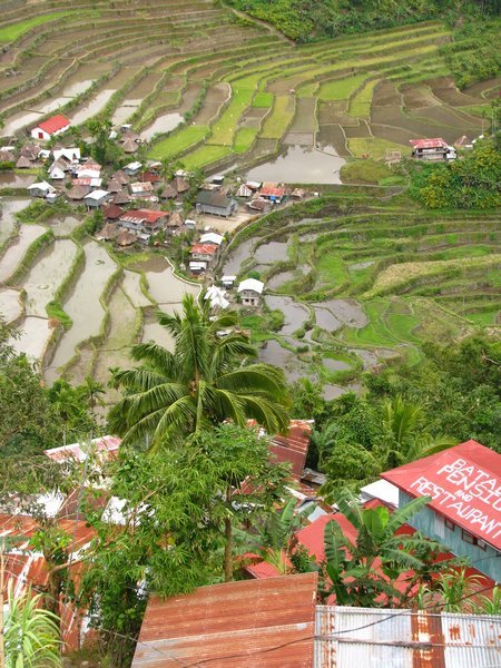Terraces at Batad