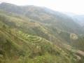 Views on the way to Baguio