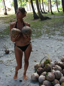 A lovely bunch of coconuts