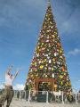 Dale and the christmas tree in Puerto Princesa