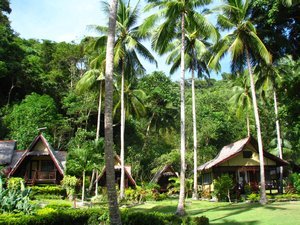Coconuts Garden Island Resort