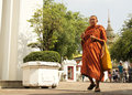 Wat Pho Monk