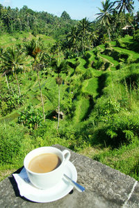 Tellangong Rice Terraces