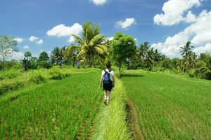 Nanna walking the rice paddies