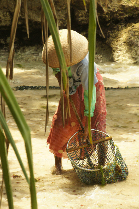 Seaweed worker