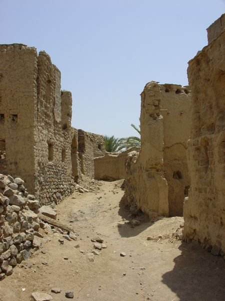 Desert Ruins