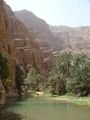 Wadi Shab Oasis