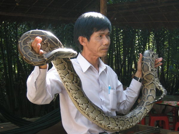 Man with python in the Mekong Delta