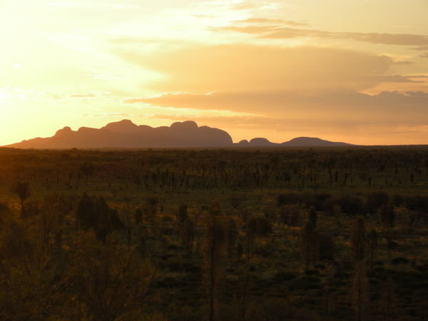 The Olgas at Sunset