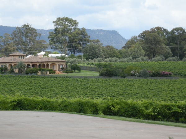 A Hunter Valley Winery
