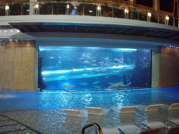 Shark Tank with Slide through it