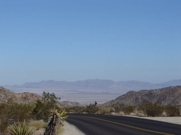 View over the Joshua Tree valley