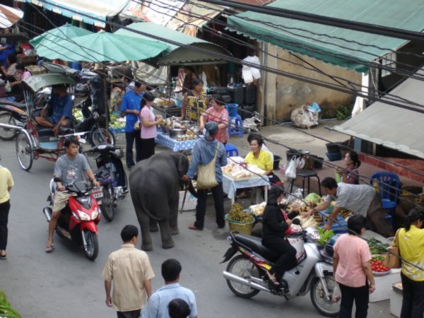 Thai market 