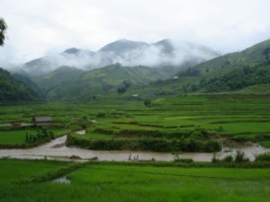 Wet Vietnam
