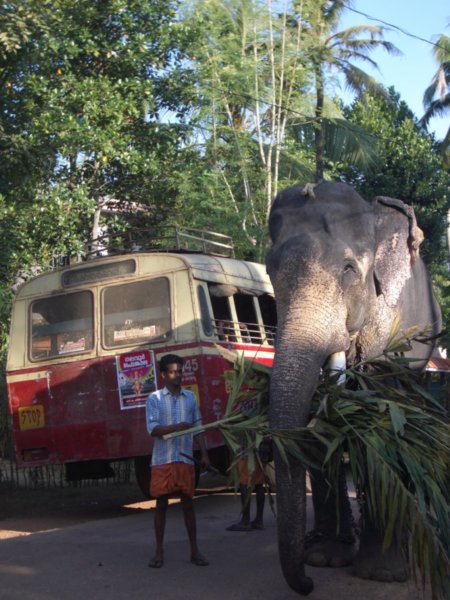One of the many road blockages on his bus route