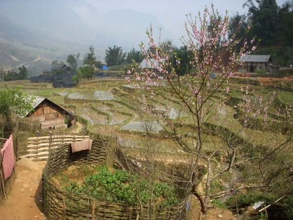 Ta Van Village