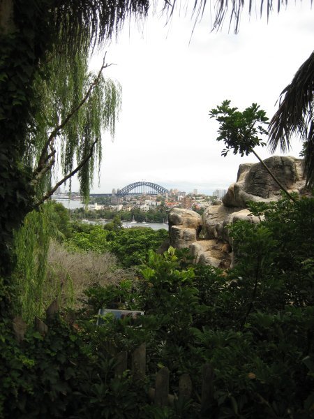 Vista de Sídney desde el Zoo