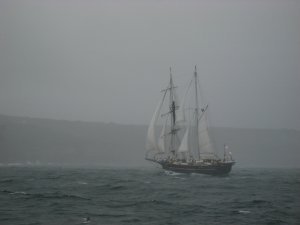 Barco de vela en la bahía de Sídney