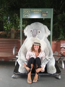 Nuestro primer contacto con los koalas