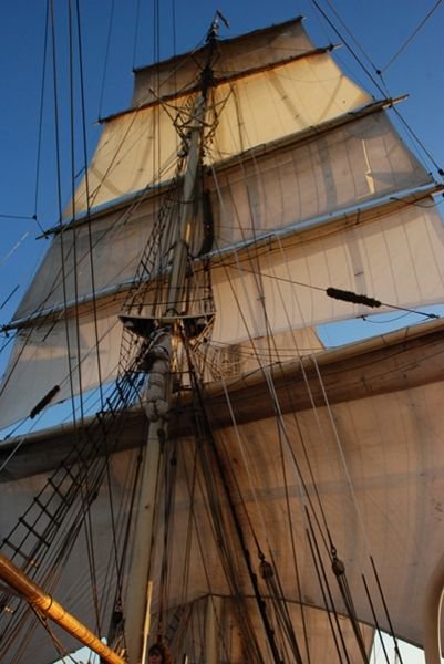 All the sails on the formast