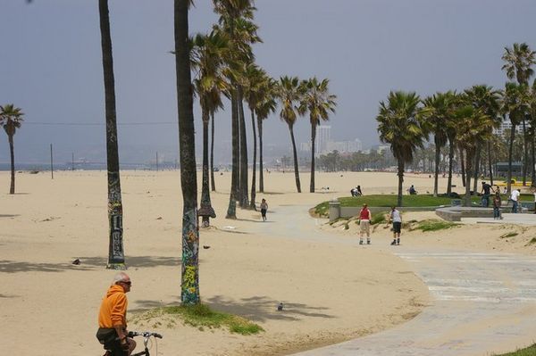 Venice Beach 2