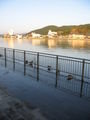 the walkway that floods in high tide