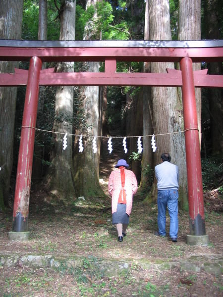 start to the old shrine