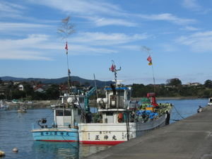 local fishing boats.