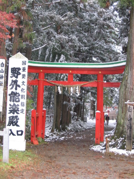 torii gates