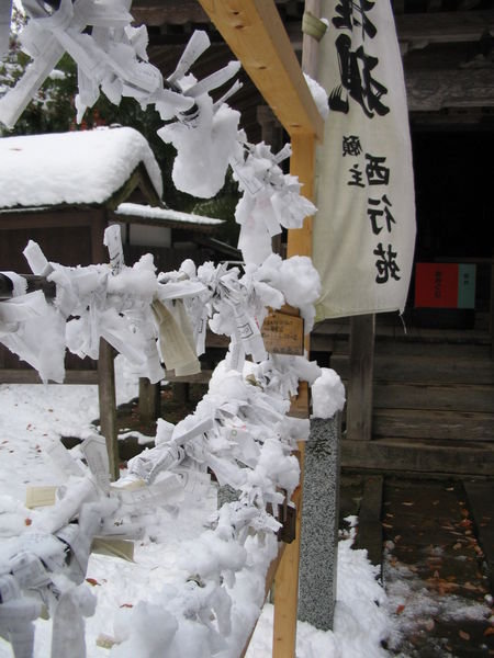 fortunes of snow