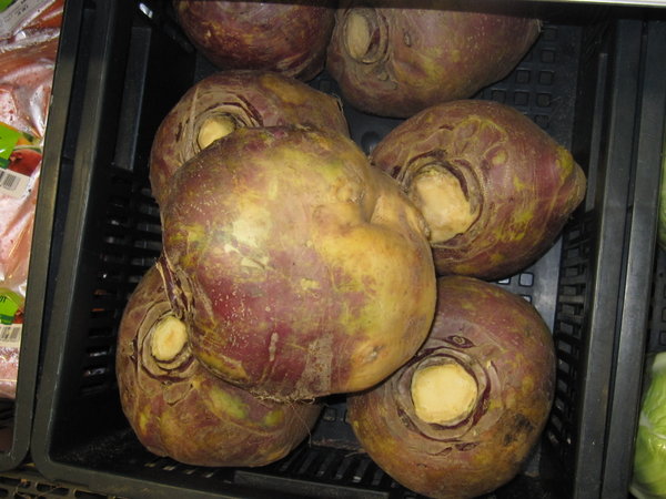 Giant Turnip!
