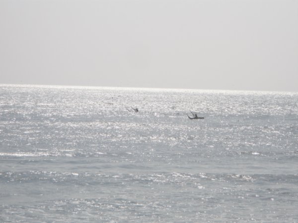 Fisherman in Huanchaco