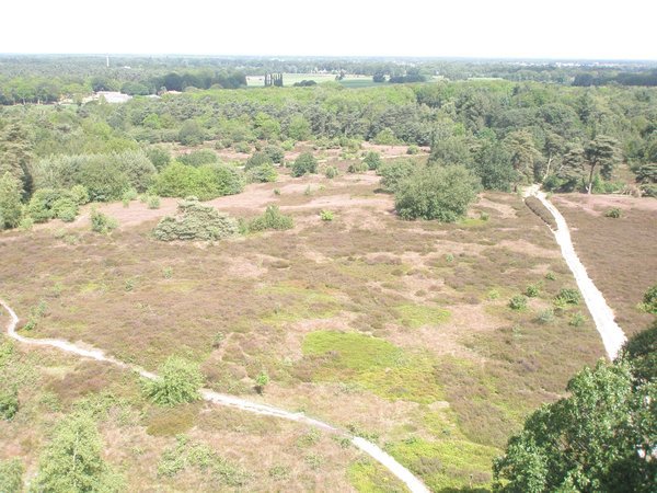 Overlooking the first hill in Holland!