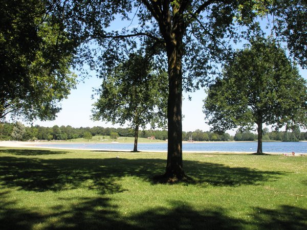 Lake near Doetinchim