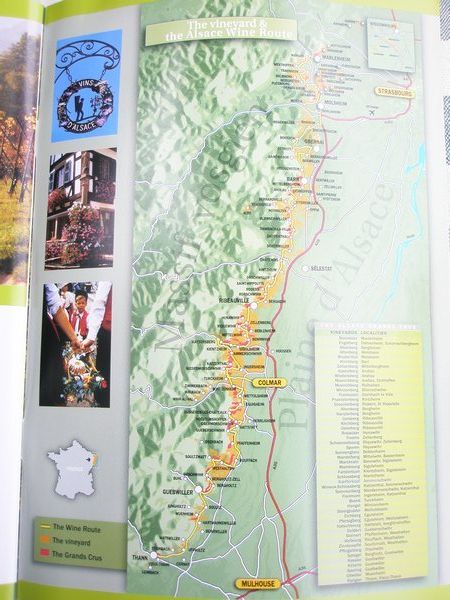 The wine route