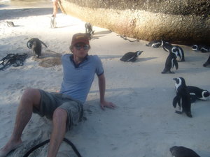 chillin' with the penguins