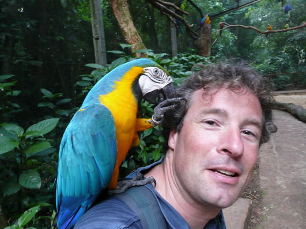 Foz do Iguacu bird santuary 