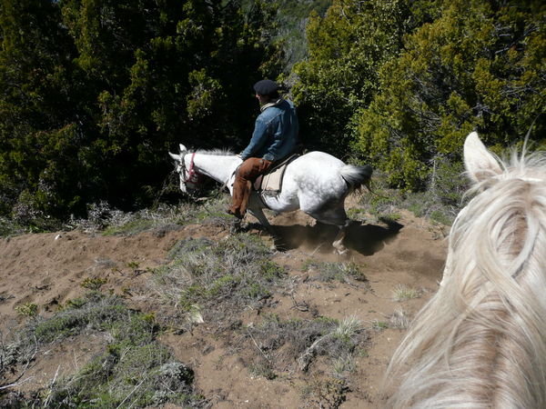 Downhill horse riding