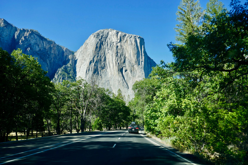 Day 4: Yosemite National Park