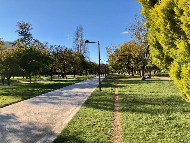 Turia park - get your exercise here!